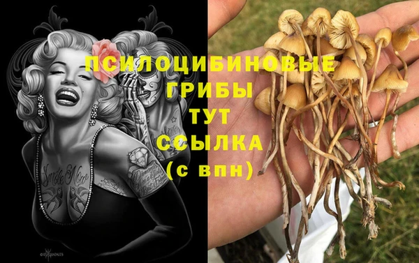 дживик Алексин