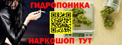 ПСИЛОЦИБИНОВЫЕ ГРИБЫ Можга