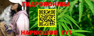 ПСИЛОЦИБИНОВЫЕ ГРИБЫ Можга